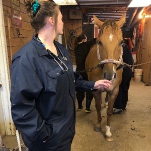 Meet your Posher, Samantha